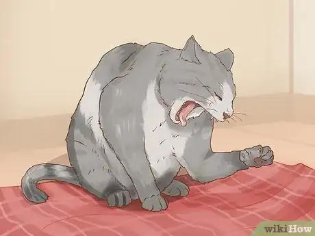 Image intitulée Save a Choking Cat Step 1