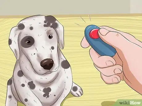 Image intitulée Teach Your Dog to Speak Step 2