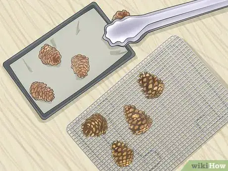 Image intitulée Preserve Pinecones Step 9