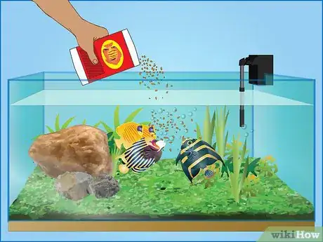 Image intitulée Take Care of Your Fish (Tanks) Step 9