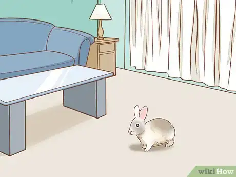Image intitulée Set up a Rabbit Cage Step 10