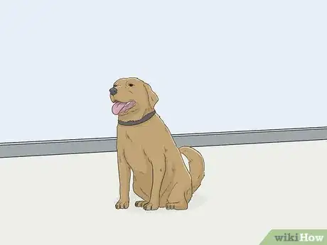 Image intitulée House Train Your Dog Step 6
