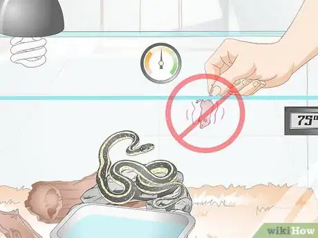 Image intitulée Take Care of a Garter Snake Step 12