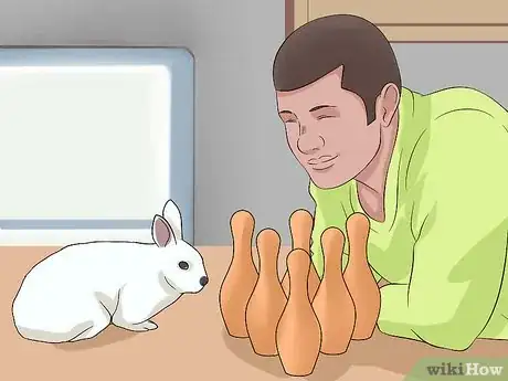 Image intitulée Clean Your Rabbit's Ears Step 1