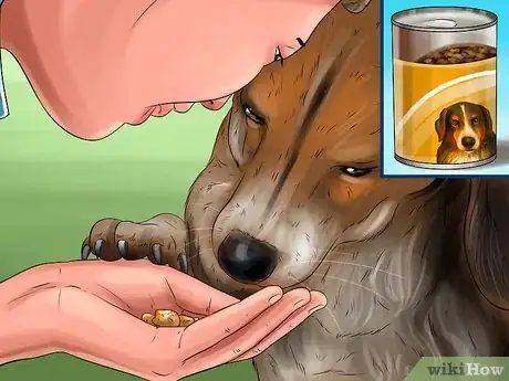 Image intitulée Get a Dog to Vomit Step 3