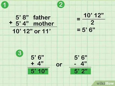 Image intitulée Know if You Are Growing Taller Step 6