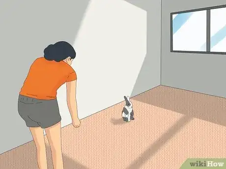 Image intitulée Pet a Rabbit Step 1