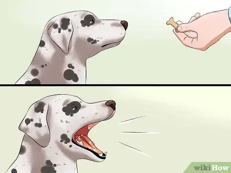 Image intitulée Teach Your Dog to Speak Step 4