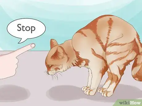 Image intitulée Stop Male Cat from Mounting Me Step 9