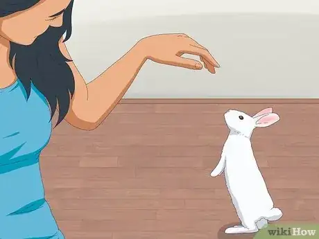 Image intitulée Pet a Rabbit Step 4