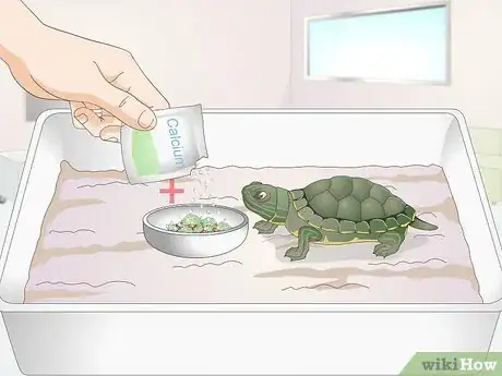 Image intitulée Feed a Baby Turtle Step 10