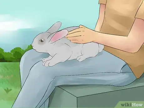 Image intitulée Catch a Pet Rabbit Step 7
