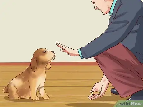 Image intitulée Teach Your Dog Basic Commands Step 10