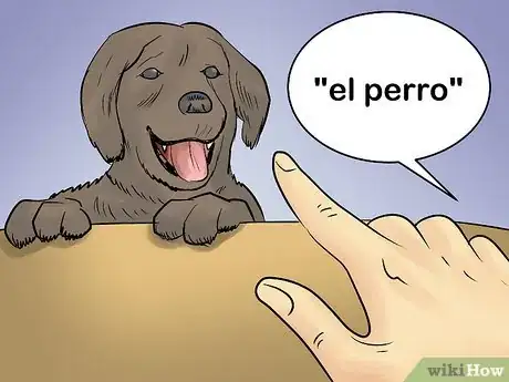 Image intitulée Speak Spanish (Basics) Step 3