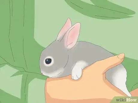 Image intitulée Pet a Rabbit Step 8