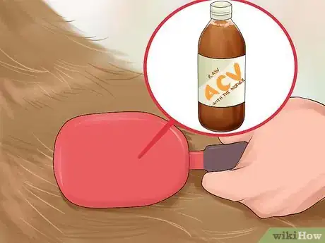 Image intitulée Use Apple Cider Vinegar for Dogs Step 7