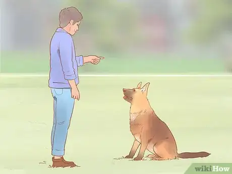 Image intitulée Choose a German Shepherd Puppy Step 3
