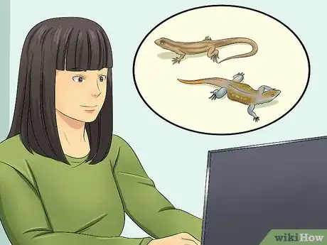 Image intitulée Catch a Lizard Without Using Your Hands Step 12