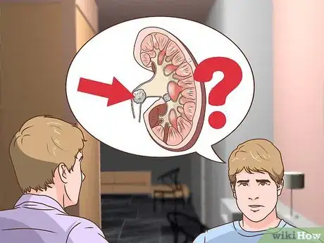 Image intitulée Know if You Have Kidney Stones Step 7