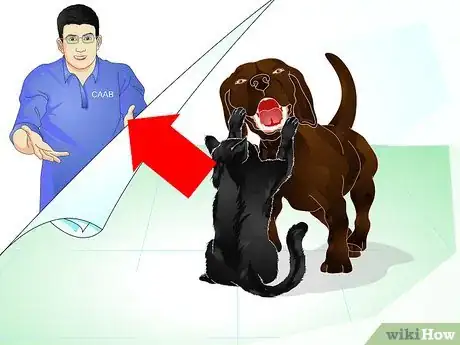 Image intitulée Stop Dog Marking Behaviors Step 18