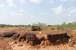 Dolmens and Urns