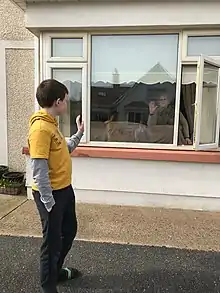 A grandson visits his grandmother who is "cocooning" in her home.