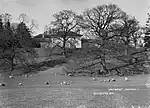 a country house, partly obscured by trees, overlooking a field with sheep