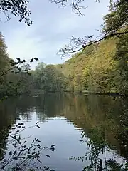 L'étang des Canards Sauvages