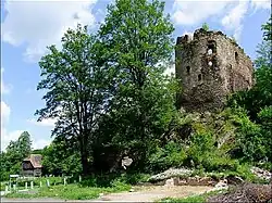 Ruins of Świecie Castle
