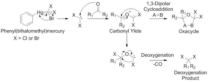 Scheme 5. α-Halocarbonyl ylide synthesis through dihalocarbene intermediates. Modified from Padwa, A.; Hornbuckle, S. F. Chem Rev 1991, 91, 263.
