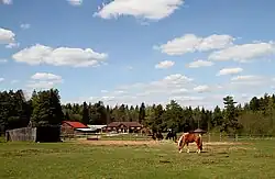 Recreation camp in Kashinsky District