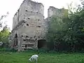 Ruins of the Czartoryski Castle
