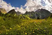 Alpine meadows, Alaniya highlands