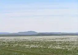 The Kazakh Steppe in the Ayagoz District, Kazakhstan.