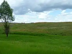 Landscape in Kotovsky District