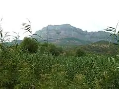 Zangilan's nature
