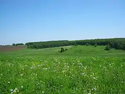 Field near village Tartely, Buturlinsky District