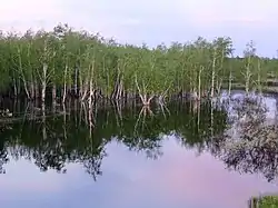 Lake Kondinsky, Sovetsky District