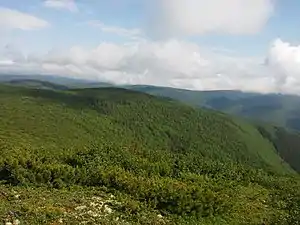 Zeya Nature Reserve, Russia