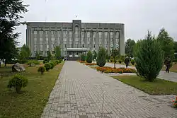 District administration in Kamin-Kashyrskyi