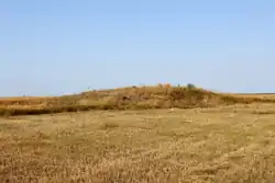 Archaeological mound, Safakulevsky District