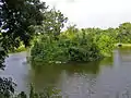 Island in Kaharlyk park