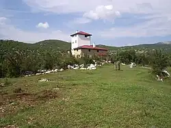 village in the municipality of Nikšić, Montenegro