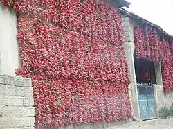 Traditional sun-dried peppers and tomatoes the village is known for