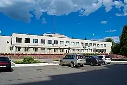 Ladyzhyn city council