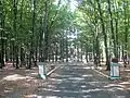 Gorky park, Zhmerinka