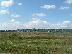 Distance view of Village (selo) Susanino, Susaninsky District