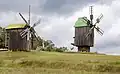 Windmills (Chernihiv Oblast), Pyrohiv Folkways Museum