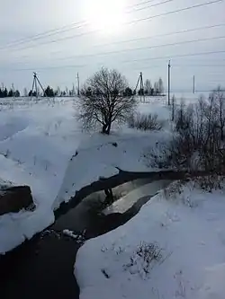 Studenetz River, Novosheshminsky District