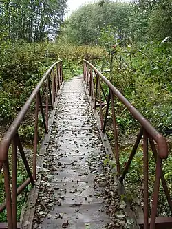 The Cheryomushka River